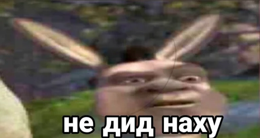 СМС СМС млекопитающее на открытом воздухе