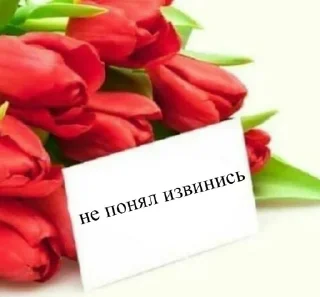 Стикер пуси джуси на тусе - 0