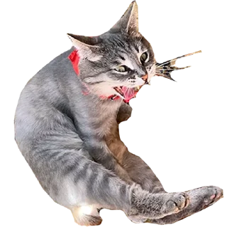 Стикер сладкая кощечка_ПК - 0 Стикер сладкая кощечка_ПК - 0