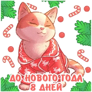 Sticker @kotiki_i_frazochki до Нового Года осталось - 3