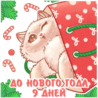 Sticker @kotiki_i_frazochki до Нового Года осталось - 11