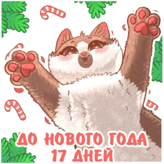 Sticker @kotiki_i_frazochki до Нового Года осталось - 4