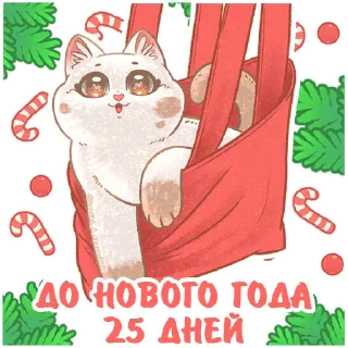 Sticker @kotiki_i_frazochki до Нового Года осталось - 5