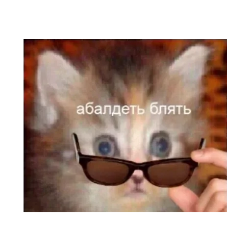 Стикер Любимые стики майанеза 2 by @fStikBot - 5