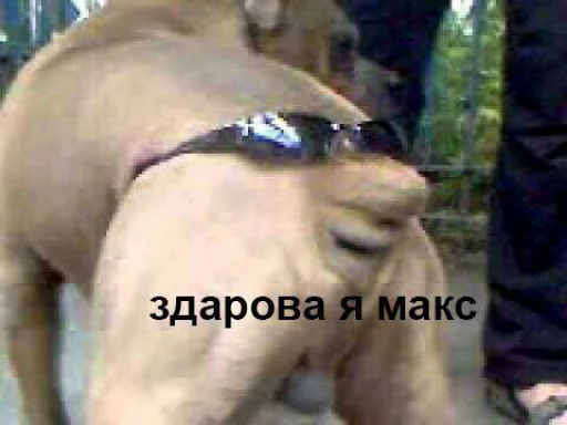 СМС СМС Человек на открытом воздухе