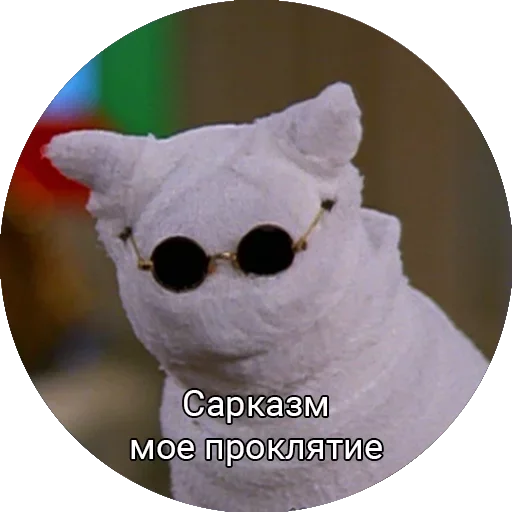 кошка кошка животное