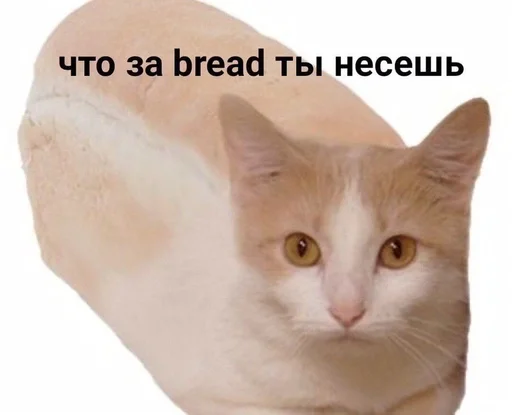 Стикер My pack by @fStikBot - 0