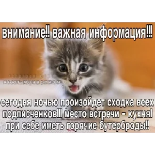 Стикер нереселлер пак - 0