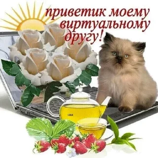 Стикер Открытки из одноклассников @stickernayaa - 2