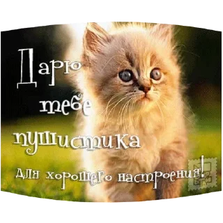 Стикер Открытки из одноклассников @stickernayaa - 7