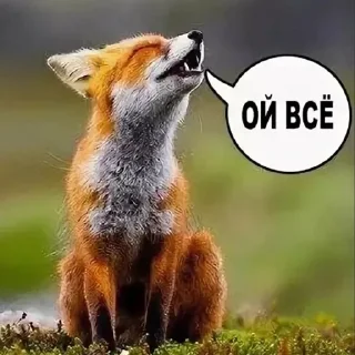 Sticker ойвсе - 0