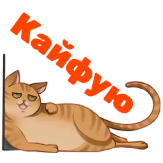 Sticker Мои стикеры - 10