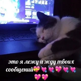 Стикер Больше стиков тут: @stikery4 - 10