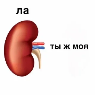 Стикер Больше стиков тут: @stikery4 - 6