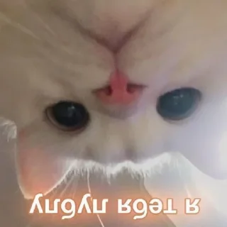 Стикер Больше стиков тут: @stikery4 - 8