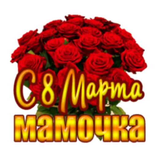 СМС СМС цветок роза