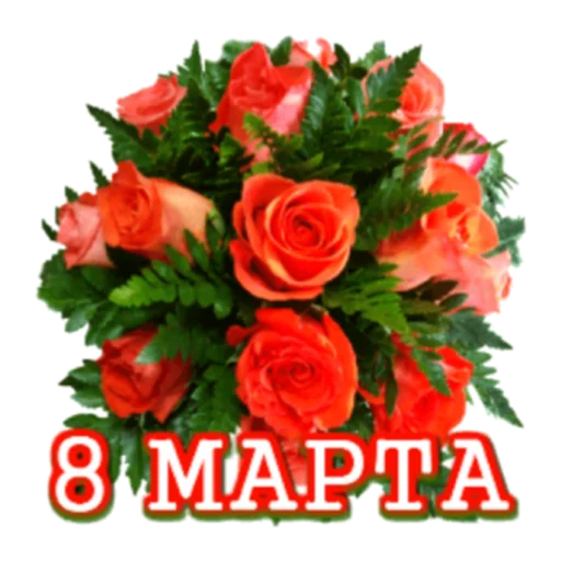растение растение роза цветочный дизайн