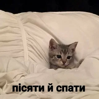 Sticker Пісяти й спати - 0