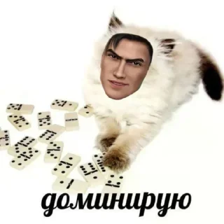 Sticker Стикеры для янв @temy_yazyki_bot - 0