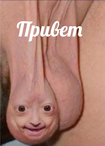 СМС СМС кожа человеческое лицо