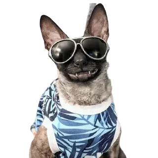 Стикер пиксель @pixel_gifs - 0