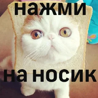 Стикер Подарок 18+ @pornostikery ⬅️🔞 - 6