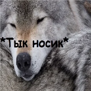 Стикер Подарок 18+ @pornostikery ⬅️🔞 - 2