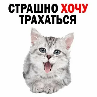 Стикер мая жызнь - 0 Стикер мая жызнь - 0