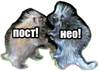 Sticker Постанархизм - 0