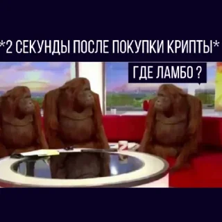 Стикер QMall Stickerpack - 4