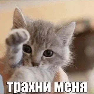 Sticker Больше @new_stickerbot - 10
