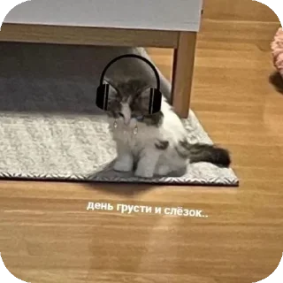 Стикер Больше стиков тут: @stikery4 - 7