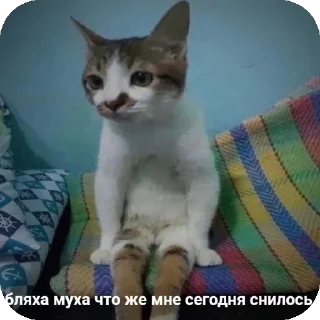 Стикер Больше стиков тут: @stikery4 - 8