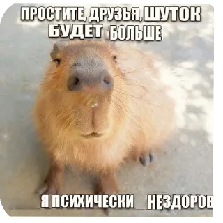 Стикер Больше стиков тут: @stikery4 - 9