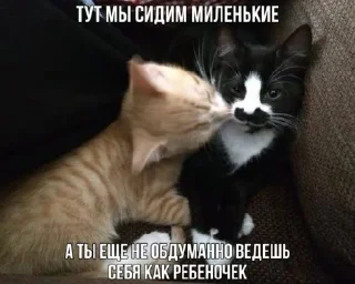 Стикер Котики @WeStickerbot - 3