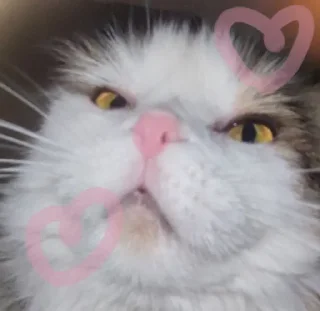 Sticker я хочу спать @sozdat_stikery_bot - 2