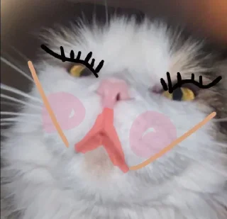 Sticker я хочу спать @sozdat_stikery_bot - 3