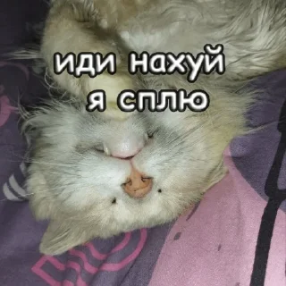 Стикер пушистые чмоники :D - 3