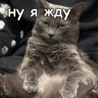 Стикер пушистые чмоники :D - 10