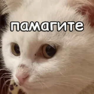 Стикер пушистые чмоники :D - 6