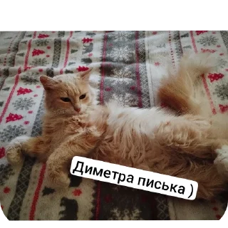 Стикер пушистые чмоники :D - 2