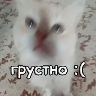 Стикер пушистые чмоники :D - 5
