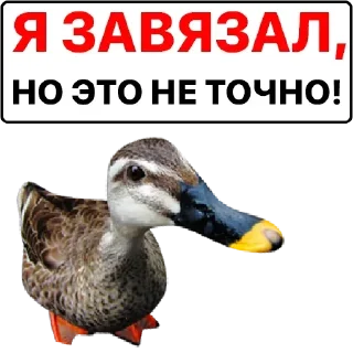 Стикер Самые Лучшие Стикеры - 6