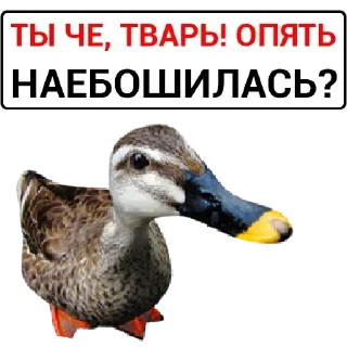 Стикер Самые Лучшие Стикеры - 4