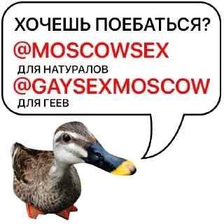 Стикер Самые Лучшие Стикеры - 5