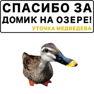 Стикер Самые Лучшие Стикеры - 11