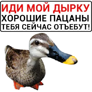 Стикер Самые Лучшие Стикеры - 10