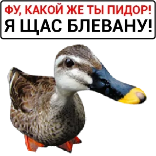 Стикер Самые Лучшие Стикеры - 2