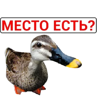 Стикер Самые Лучшие Стикеры - 8