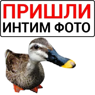 Стикер Самые Лучшие Стикеры - 9